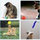 Pack of 31 Cat Toys with Cat Tunnel, Balls, Cat Toy, Mice, Feather Toy, Plush Toy, Interactive Cat Toy for Cats, Cat Accessories Pack of 31 Cat Toys with Cat Tunnel, Balls, Cat Toy, Mice, Feather Toy, Plush Toy, Interactive Cat Toy for Cats, Cat Accessories