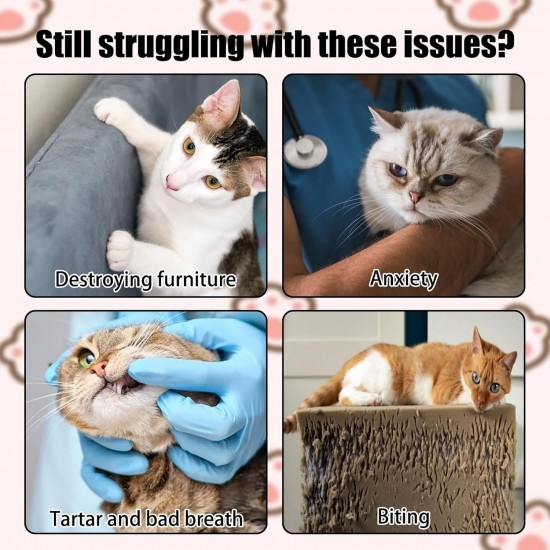 Pack of 5 catnip plush, cat plush chew toy with catnip, catnip cushion, for cats to relieve stress, clean their teeth and train their chewing skills Pack of 5 catnip plush, cat plush chew toy with catnip, catnip cushion, for cats to relieve stress, clean their teeth and train their chewing skills
