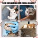 Pack of 5 catnip plush, cat plush chew toy with catnip, catnip cushion, for cats to relieve stress, clean their teeth and train their chewing skills Pack of 5 catnip plush, cat plush chew toy with catnip, catnip cushion, for cats to relieve stress, clean their teeth and train their chewing skills