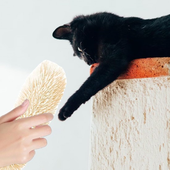 Pack of 5 catnip plush, cat plush chew toy with catnip, catnip cushion, for cats to relieve stress, clean their teeth and train their chewing skills Pack of 5 catnip plush, cat plush chew toy with catnip, catnip cushion, for cats to relieve stress, clean their teeth and train their chewing skills