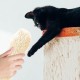 Pack of 5 catnip plush, cat plush chew toy with catnip, catnip cushion, for cats to relieve stress, clean their teeth and train their chewing skills Pack of 5 catnip plush, cat plush chew toy with catnip, catnip cushion, for cats to relieve stress, clean their teeth and train their chewing skills