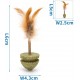 Patapalooza Cat Toy: Aromatic, Soft, Safe, Stimulates Play and Reduce Stress in Cats, Great for Entertaining and Promoting Activity Patapalooza Cat Toy: Aromatic, Soft, Safe, Stimulates Play and Reduce Stress in Cats, Great for Entertaining and Promoting Activity