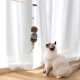 Patapalooza Flexible and Durable Cat Training Stick Ideal for Promoting Exercise and Fun for Cats Patapalooza Flexible and Durable Cat Training Stick Ideal for Promoting Exercise and Fun for Cats