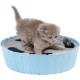 Pawaboo Cat Toy, Electric Mouse, Interactive Kitten Toy, Cat Bed, Scratching Mat, Catnip, Cute and Safe Toy, Play Ball for Small Cat Game, Biting Chewing, Blue Pawaboo Cat Toy, Electric Mouse, Interactive Kitten Toy, Cat Bed, Scratching Mat, Catnip, Cute and Safe Toy, Play Ball for Small Cat Game, Biting Chewing, Blue