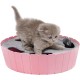 Pawaboo Cat Toy, Electric Mouse, Interactive Kitten Toy, Cat Bed, Scratching Mat, Catnip, Cute and Safe Toy, Play Ball for Small Cat Game, Biting Chewing, Blue Pawaboo Cat Toy, Electric Mouse, Interactive Kitten Toy, Cat Bed, Scratching Mat, Catnip, Cute and Safe Toy, Play Ball for Small Cat Game, Biting Chewing, Blue