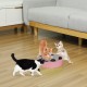 Pawaboo Cat Toy, Electric Mouse, Interactive Kitten Toy, Cat Bed, Scratching Mat, Catnip, Cute and Safe Toy, Play Ball for Small Cat Game, Biting Chewing, Blue Pawaboo Cat Toy, Electric Mouse, Interactive Kitten Toy, Cat Bed, Scratching Mat, Catnip, Cute and Safe Toy, Play Ball for Small Cat Game, Biting Chewing, Blue