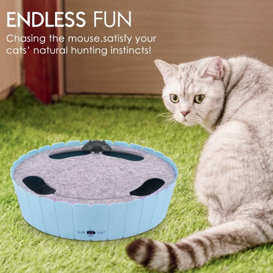 Pawaboo Cat Toy, Electric Mouse, Interactive Kitten Toy, Cat Bed, Scratching Mat, Catnip, Cute and Safe Toy, Play Ball for Small Cat Game, Biting Chewing, Blue Pawaboo Cat Toy, Electric Mouse, Interactive Kitten Toy, Cat Bed, Scratching Mat, Catnip, Cute and Safe Toy, Play Ball for Small Cat Game, Biting Chewing, Blue