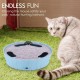Pawaboo Cat Toy, Electric Mouse, Interactive Kitten Toy, Cat Bed, Scratching Mat, Catnip, Cute and Safe Toy, Play Ball for Small Cat Game, Biting Chewing, Blue Pawaboo Cat Toy, Electric Mouse, Interactive Kitten Toy, Cat Bed, Scratching Mat, Catnip, Cute and Safe Toy, Play Ball for Small Cat Game, Biting Chewing, Blue