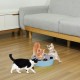 Pawaboo Cat Toy, Electric Mouse, Interactive Kitten Toy, Cat Bed, Scratching Mat, Catnip, Cute and Safe Toy, Play Ball for Small Cat Game, Biting Chewing, Blue Pawaboo Cat Toy, Electric Mouse, Interactive Kitten Toy, Cat Bed, Scratching Mat, Catnip, Cute and Safe Toy, Play Ball for Small Cat Game, Biting Chewing, Blue
