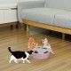 Pawaboo Cat Toy, Electric Mouse, Interactive Kitten Toy, Cat Bed, Scratching Mat, Catnip, Cute and Safe Toy, Play Ball for Small Cat Game, Biting Chewing, Blue Pawaboo Cat Toy, Electric Mouse, Interactive Kitten Toy, Cat Bed, Scratching Mat, Catnip, Cute and Safe Toy, Play Ball for Small Cat Game, Biting Chewing, Blue