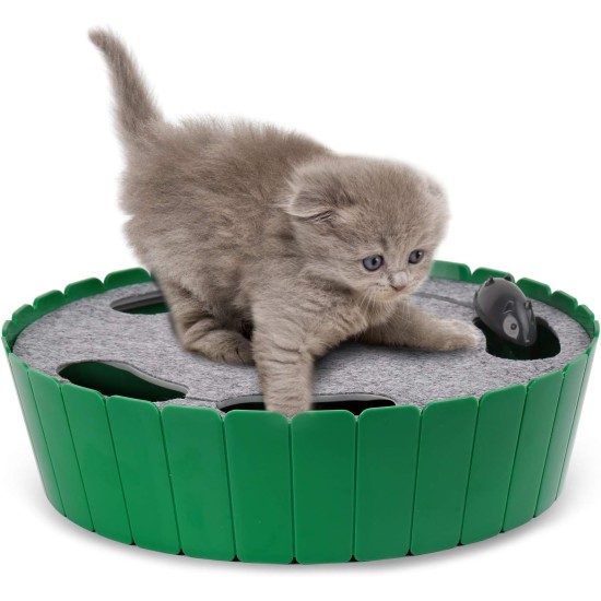 Pawaboo Cat Toy, Electric Mouse, Interactive Kitten Toy, Cat Bed, Scratching Mat, Catnip, Cute and Safe Toy, Play Ball for Small Cat Game, Biting Chewing, Blue Pawaboo Cat Toy, Electric Mouse, Interactive Kitten Toy, Cat Bed, Scratching Mat, Catnip, Cute and Safe Toy, Play Ball for Small Cat Game, Biting Chewing, Blue