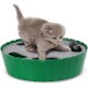 Pawaboo Cat Toy, Electric Mouse, Interactive Kitten Toy, Cat Bed, Scratching Mat, Catnip, Cute and Safe Toy, Play Ball for Small Cat Game, Biting Chewing, Blue Pawaboo Cat Toy, Electric Mouse, Interactive Kitten Toy, Cat Bed, Scratching Mat, Catnip, Cute and Safe Toy, Play Ball for Small Cat Game, Biting Chewing, Blue