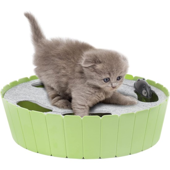 Pawaboo Cat Toy, Electric Mouse, Interactive Kitten Toy, Cat Bed, Scratching Mat, Catnip, Cute and Safe Toy, Play Ball for Small Cat Game, Biting Chewing, Blue Pawaboo Cat Toy, Electric Mouse, Interactive Kitten Toy, Cat Bed, Scratching Mat, Catnip, Cute and Safe Toy, Play Ball for Small Cat Game, Biting Chewing, Blue