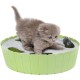 Pawaboo Cat Toy, Electric Mouse, Interactive Kitten Toy, Cat Bed, Scratching Mat, Catnip, Cute and Safe Toy, Play Ball for Small Cat Game, Biting Chewing, Blue Pawaboo Cat Toy, Electric Mouse, Interactive Kitten Toy, Cat Bed, Scratching Mat, Catnip, Cute and Safe Toy, Play Ball for Small Cat Game, Biting Chewing, Blue