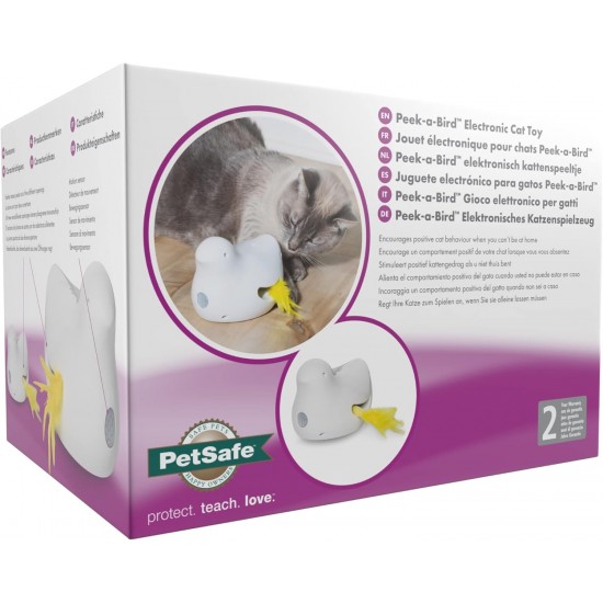 PetSafe FroliCat Interactive Cat Toy for Playing & Hunting - Intelligence Activity Toy for Cats, Cheese, White PetSafe FroliCat Interactive Cat Toy for Playing & Hunting - Intelligence Activity Toy for Cats, Cheese, White