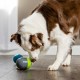 PetSafe FroliCat Interactive Cat Toy for Playing & Hunting - Intelligence Activity Toy for Cats, Peek-a-Bird PetSafe FroliCat Interactive Cat Toy for Playing & Hunting - Intelligence Activity Toy for Cats, Peek-a-Bird