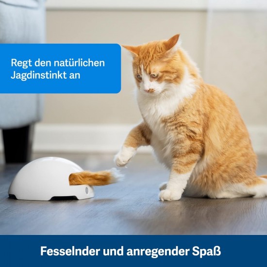 PetSafe FroliCat Interactive Cat Toy for Playing & Hunting - Intelligence Activity Toy for Cats, Peek-a-Bird PetSafe FroliCat Interactive Cat Toy for Playing & Hunting - Intelligence Activity Toy for Cats, Peek-a-Bird