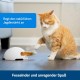 PetSafe FroliCat Interactive Cat Toy for Playing & Hunting - Intelligence Activity Toy for Cats, Peek-a-Bird PetSafe FroliCat Interactive Cat Toy for Playing & Hunting - Intelligence Activity Toy for Cats, Peek-a-Bird