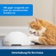 PetSafe FroliCat Interactive Cat Toy for Playing & Hunting - Intelligence Activity Toy for Cats, Peek-a-Bird PetSafe FroliCat Interactive Cat Toy for Playing & Hunting - Intelligence Activity Toy for Cats, Peek-a-Bird
