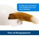 PetSafe FroliCat Interactive Cat Toy for Playing & Hunting - Intelligence Activity Toy for Cats, Peek-a-Bird PetSafe FroliCat Interactive Cat Toy for Playing & Hunting - Intelligence Activity Toy for Cats, Peek-a-Bird