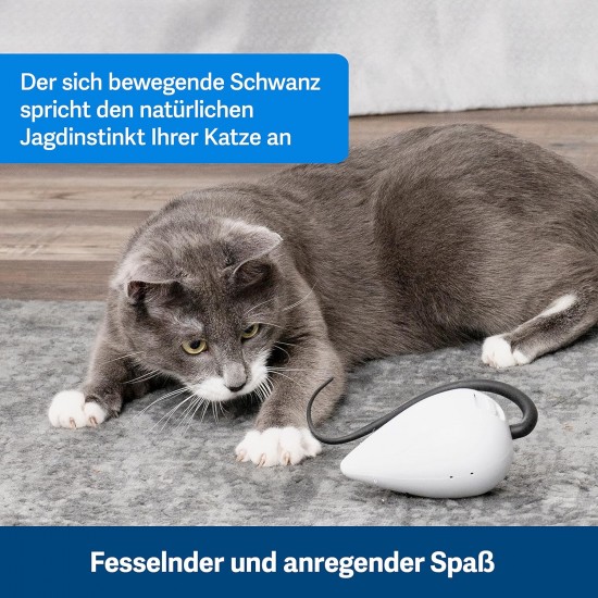 PetSafe FroliCat Interactive Cat Toy for Playing & Hunting - Intelligence Activity Toy for Cats, Peek-a-Bird PetSafe FroliCat Interactive Cat Toy for Playing & Hunting - Intelligence Activity Toy for Cats, Peek-a-Bird