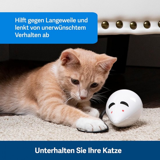 PetSafe FroliCat Interactive Cat Toy for Playing & Hunting - Intelligence Activity Toy for Cats, Peek-a-Bird PetSafe FroliCat Interactive Cat Toy for Playing & Hunting - Intelligence Activity Toy for Cats, Peek-a-Bird