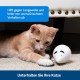 PetSafe FroliCat Interactive Cat Toy for Playing & Hunting - Intelligence Activity Toy for Cats, Peek-a-Bird PetSafe FroliCat Interactive Cat Toy for Playing & Hunting - Intelligence Activity Toy for Cats, Peek-a-Bird