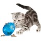 PetSafe Funkitty Interactive Fitness Cat Toy for Dry Food and Treats for Cats and Kittens PetSafe Funkitty Interactive Fitness Cat Toy for Dry Food and Treats for Cats and Kittens