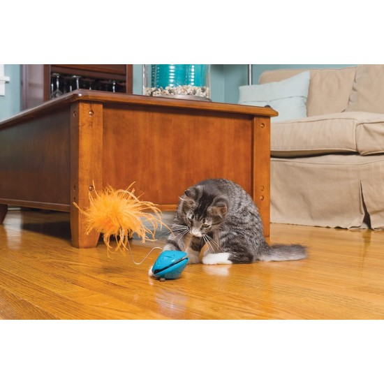 PetSafe Funkitty Interactive Fitness Cat Toy for Dry Food and Treats for Cats and Kittens PetSafe Funkitty Interactive Fitness Cat Toy for Dry Food and Treats for Cats and Kittens