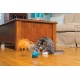 PetSafe Funkitty Interactive Fitness Cat Toy for Dry Food and Treats for Cats and Kittens PetSafe Funkitty Interactive Fitness Cat Toy for Dry Food and Treats for Cats and Kittens