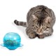 PetSafe Funkitty Interactive Fitness Cat Toy for Dry Food and Treats for Cats and Kittens PetSafe Funkitty Interactive Fitness Cat Toy for Dry Food and Treats for Cats and Kittens