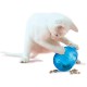 PetSafe Funkitty Interactive Fitness Cat Toy for Dry Food and Treats for Cats and Kittens PetSafe Funkitty Interactive Fitness Cat Toy for Dry Food and Treats for Cats and Kittens