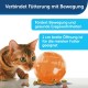 PetSafe SlimCat Food Ball, Snack Ball for Cats, for Playful Weight Control, 150 ml Dry Food, Blue PetSafe SlimCat Food Ball, Snack Ball for Cats, for Playful Weight Control, 150 ml Dry Food, Blue