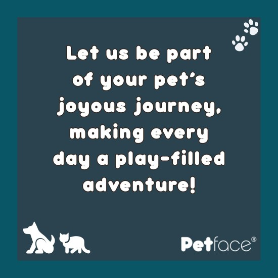 Petface Glitter Balls Cat Toy (Pack of 3) Petface Glitter Balls Cat Toy (Pack of 3)
