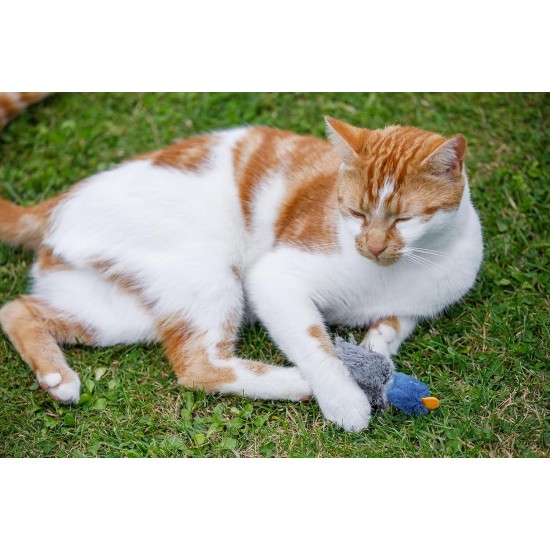 Petface Glitter Balls Cat Toy (Pack of 3) Petface Glitter Balls Cat Toy (Pack of 3)