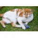 Petface Glitter Balls Cat Toy (Pack of 3) Petface Glitter Balls Cat Toy (Pack of 3)