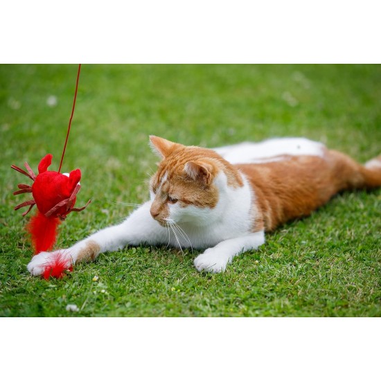 Petface Retractable Feather and Bell Wand Cat Toy Petface Retractable Feather and Bell Wand Cat Toy