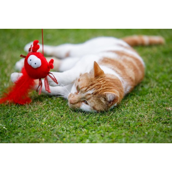 Petface Retractable Feather and Bell Wand Cat Toy Petface Retractable Feather and Bell Wand Cat Toy