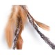 Petface Retractable Feather and Bell Wand Cat Toy Petface Retractable Feather and Bell Wand Cat Toy