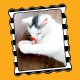 Petmate Fat Cat Classic Springy Worms Toy Petmate Fat Cat Classic Springy Worms Toy