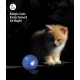 Petstages #386 Twinkle Ball, Cat Further with a Soft and Elastic Consistency Petstages #386 Twinkle Ball, Cat Further with a Soft and Elastic Consistency