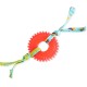 Petstages Lil' Avocato - Cat Toy - Dental Care - Avocado - Catnip - Green - One Size