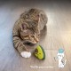 Petstages Lil' Avocato - Cat Toy - Dental Care - Avocado - Catnip - Green - One Size