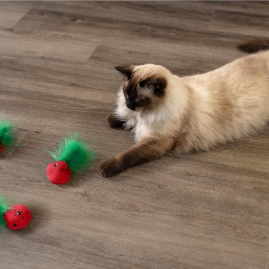 Petstages Lil' Avocato - Cat Toy - Dental Care - Avocado - Catnip - Green - One Size Petstages Lil' Avocato - Cat Toy - Dental Care - Avocado - Catnip - Green - One Size