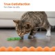 Petstages Lil' Avocato - Cat Toy - Dental Care - Avocado - Catnip - Green - One Size