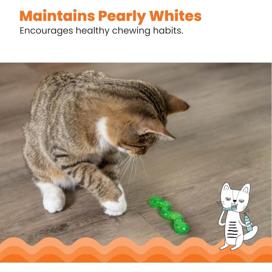 Petstages Lil' Avocato - Cat Toy - Dental Care - Avocado - Catnip - Green - One Size Petstages Lil' Avocato - Cat Toy - Dental Care - Avocado - Catnip - Green - One Size