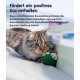 Petstages Lil' Avocato - Cat Toy - Dental Care - Avocado - Catnip - Green - One Size