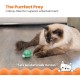 Petstages Lil' Avocato - Cat Toy - Dental Care - Avocado - Catnip - Green - One Size