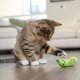 Petstages Lil' Avocato - Cat Toy - Dental Care - Avocado - Catnip - Green - One Size