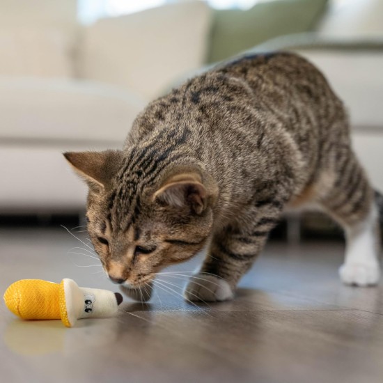Petstages Lil' Avocato - Cat Toy - Dental Care - Avocado - Catnip - Green - One Size Petstages Lil' Avocato - Cat Toy - Dental Care - Avocado - Catnip - Green - One Size